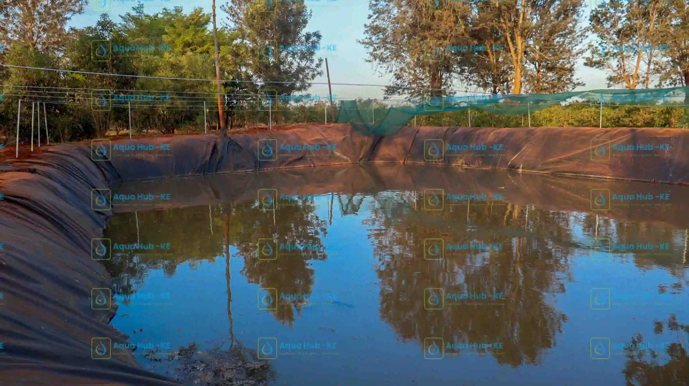 Fishpond liners for sale in Kenya