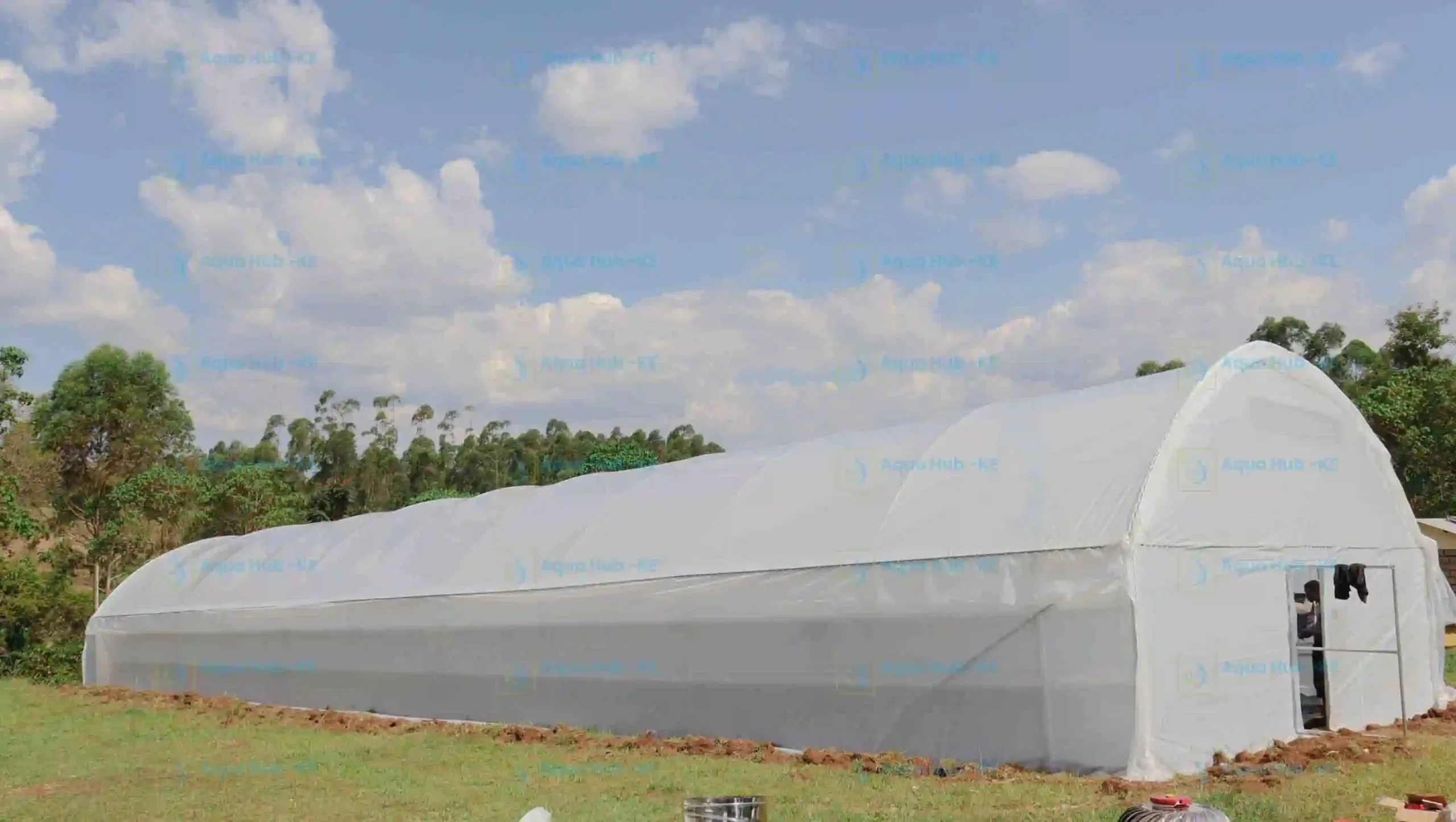 Post-harvest solar dryers in Kenya