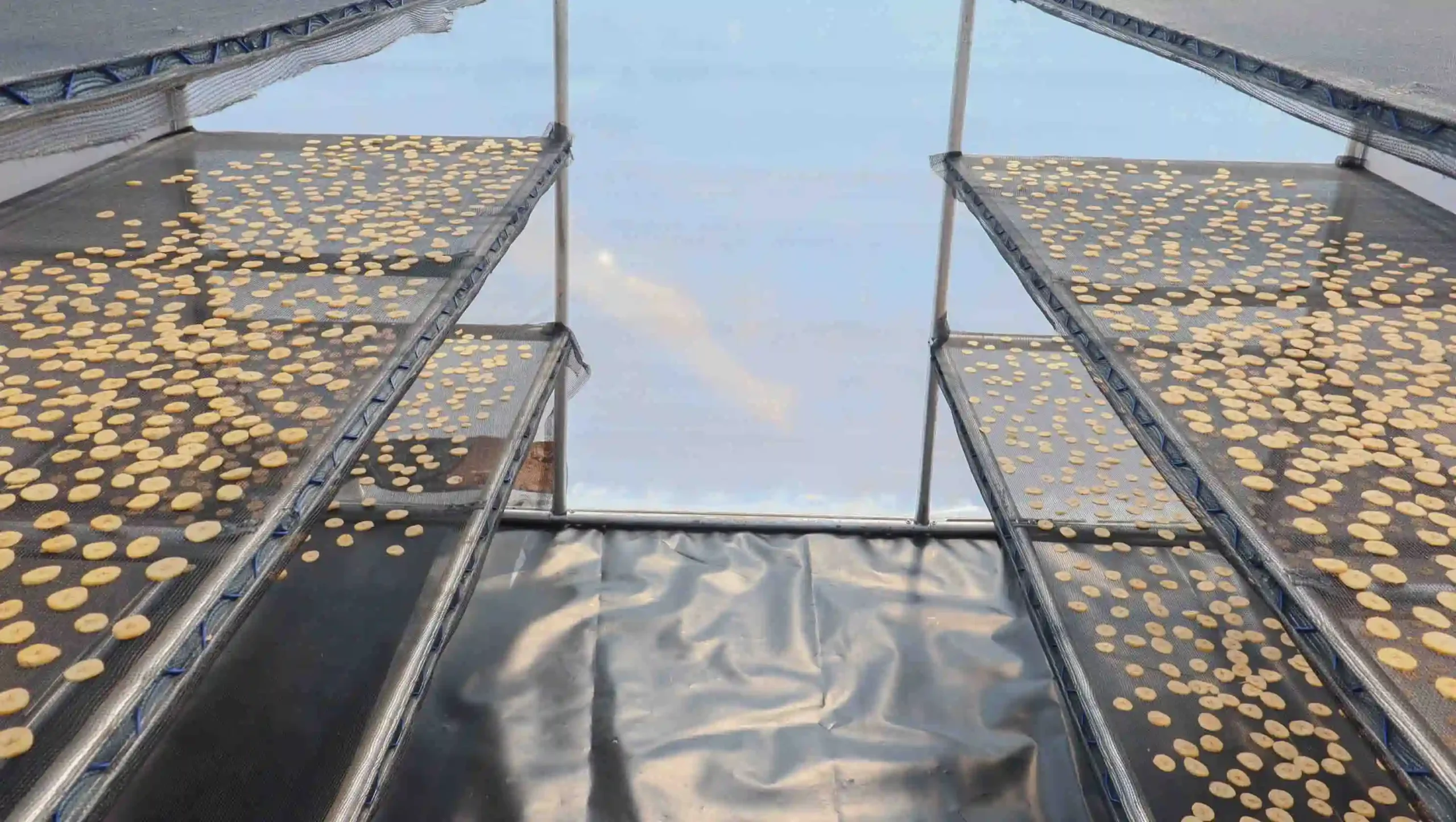 Post-harvest solar dryers in Kenya