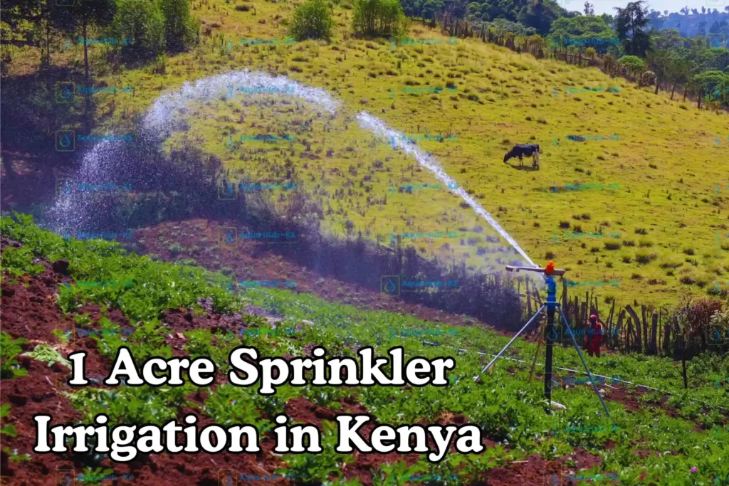 1 Acre Sprinkler Irrigation in Kenya