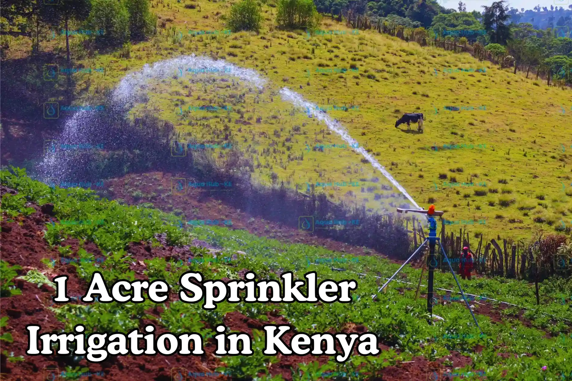 1 Acre Sprinkler Irrigation in Kenya
