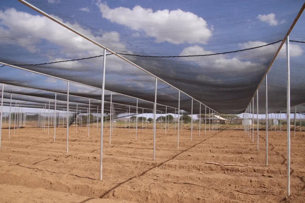 Black Shade Net Installation by Aqua Hub Kenya