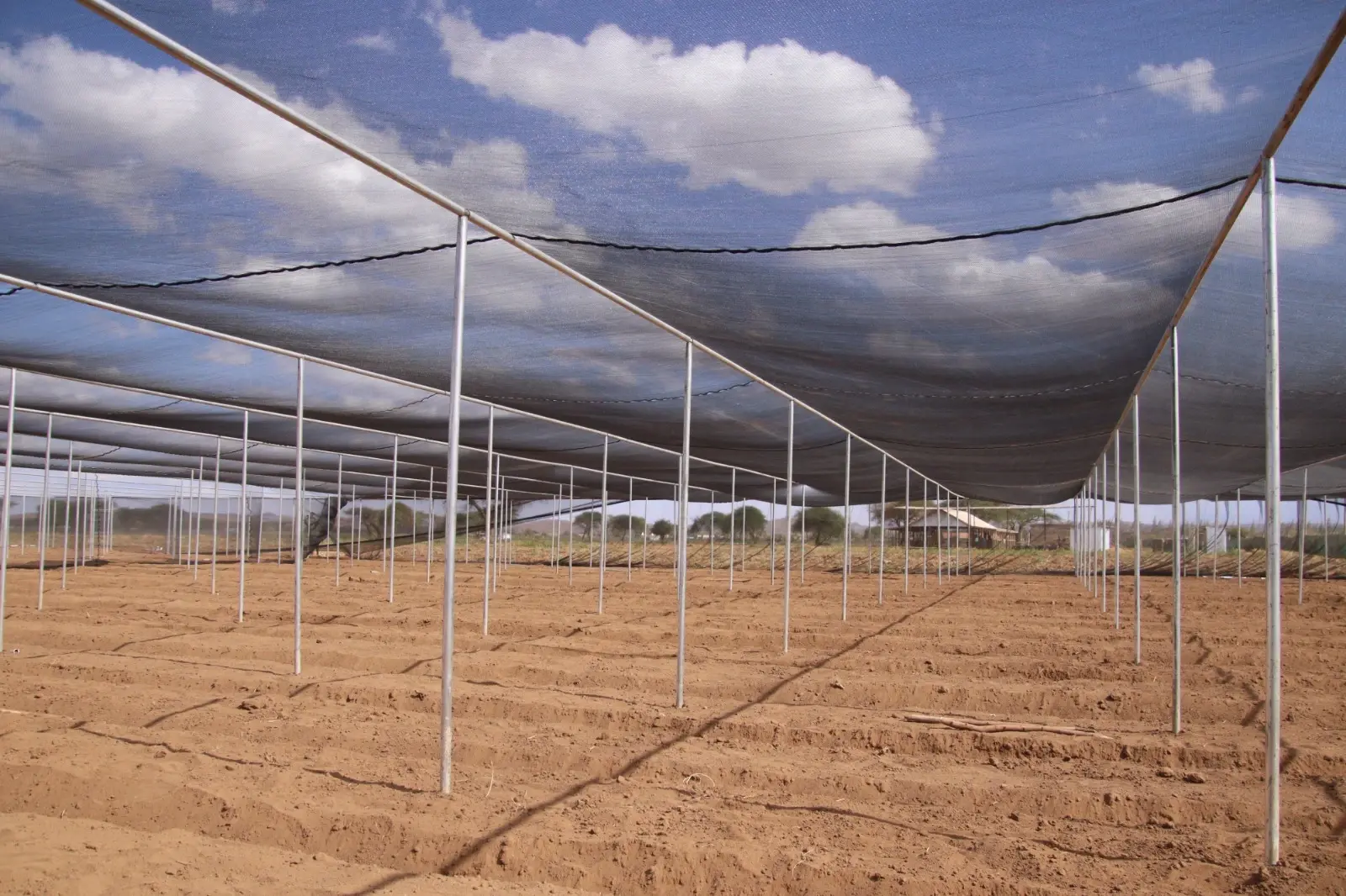 Black Shade Net Installation by Aqua Hub Kenya
