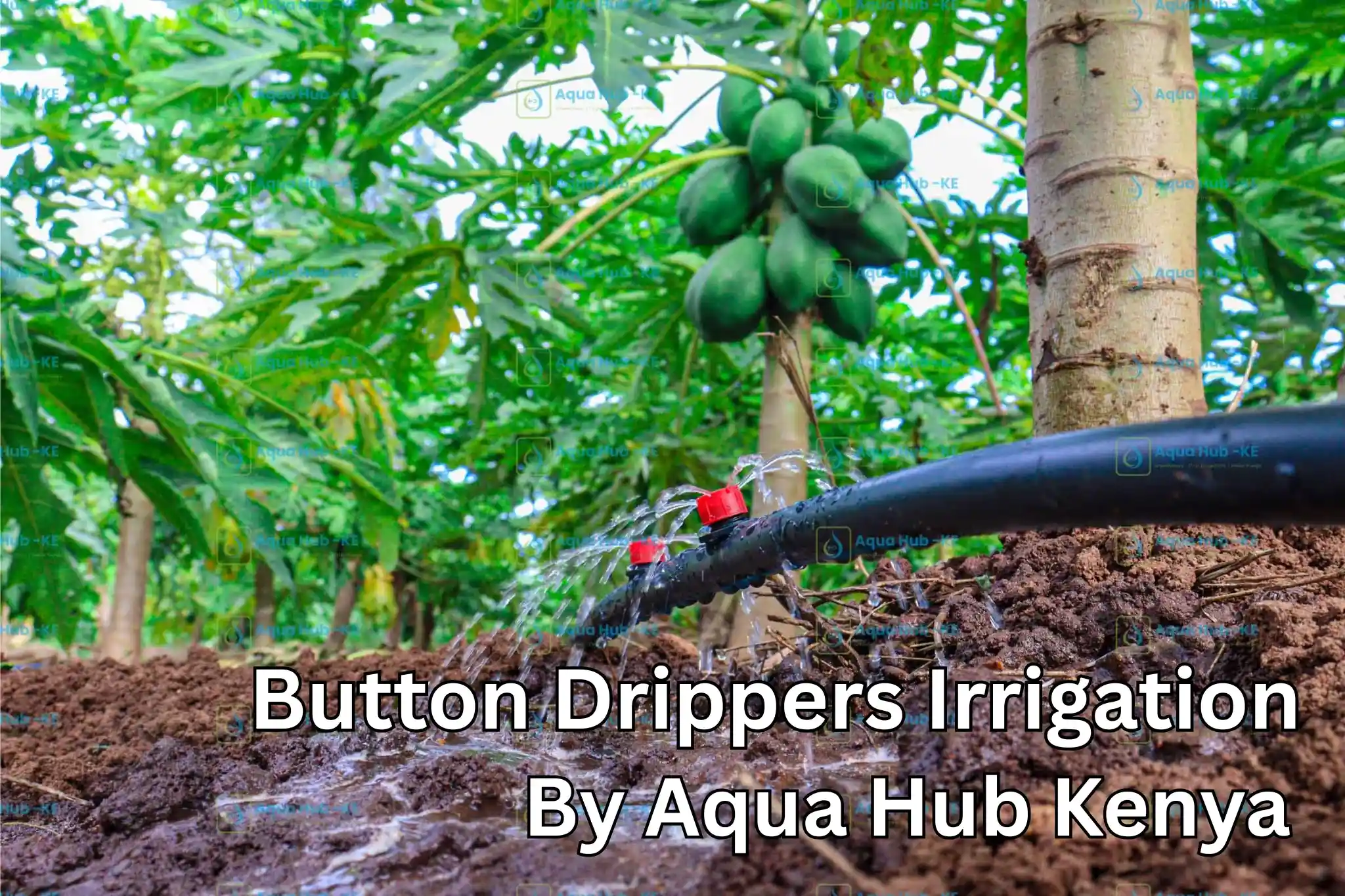 Button Drippers Irrigation System