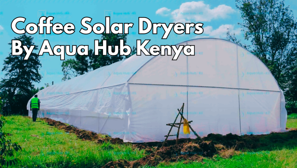 Coffee solar dehydrators