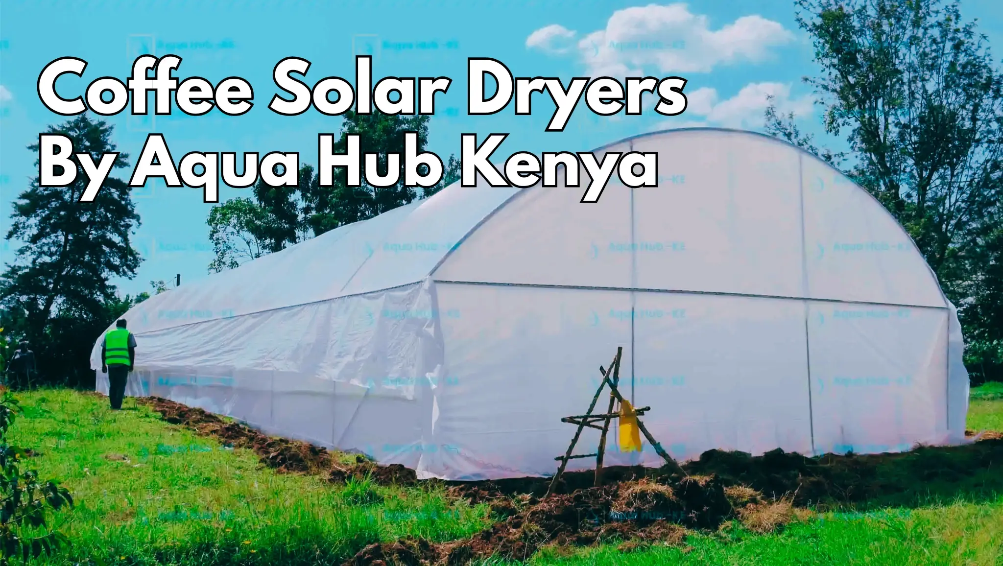 Coffee Solar Dryers