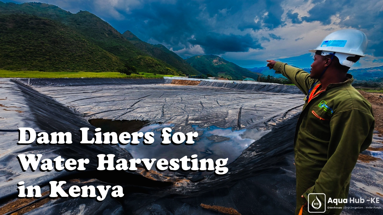 Dam Liners for Water Harvesting in Kenya