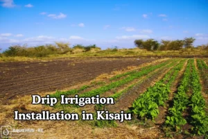 Drip Irrigation Installation in Kisaju