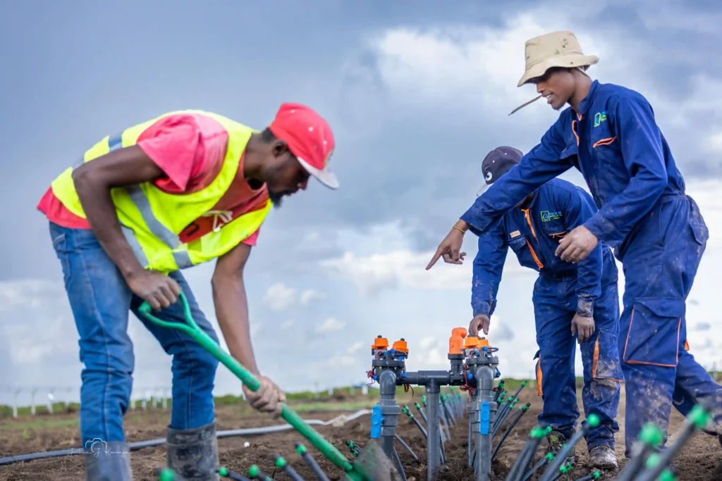 Drip Line Fitting Installation