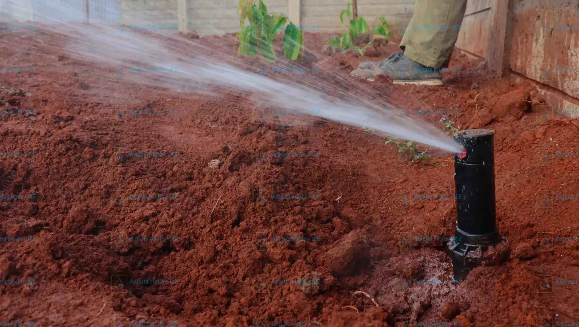 Pop up sprinkler for irrigation by Aqua Hub Kenya