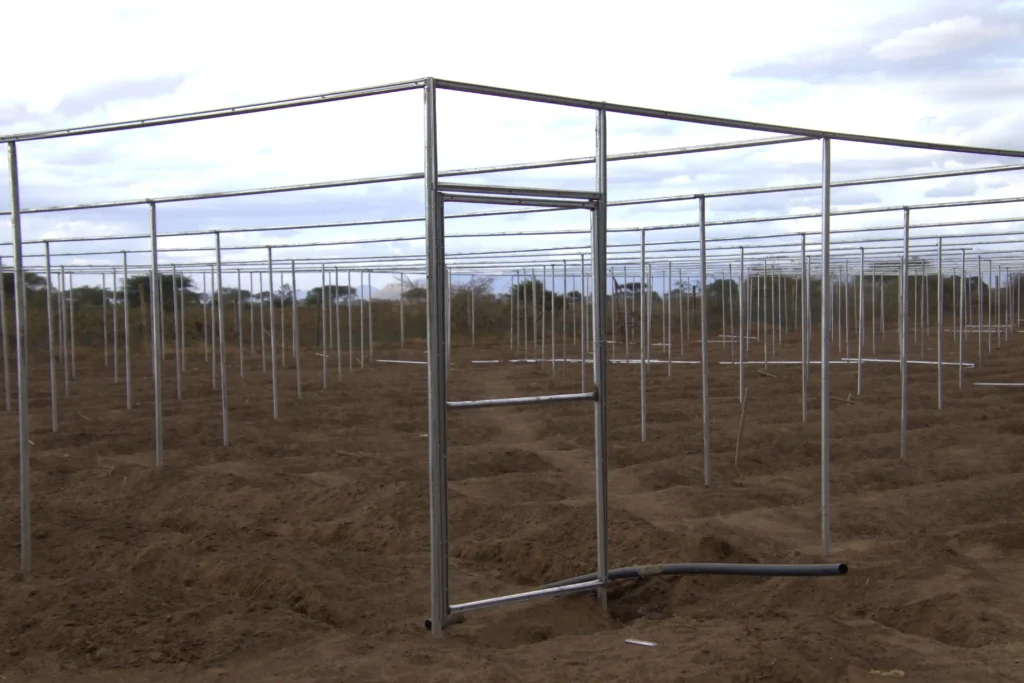 Pole structure setup for shade nets
