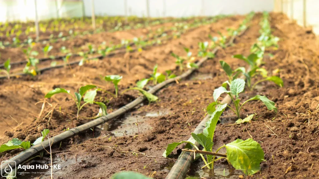 Artificial irrigation of crops