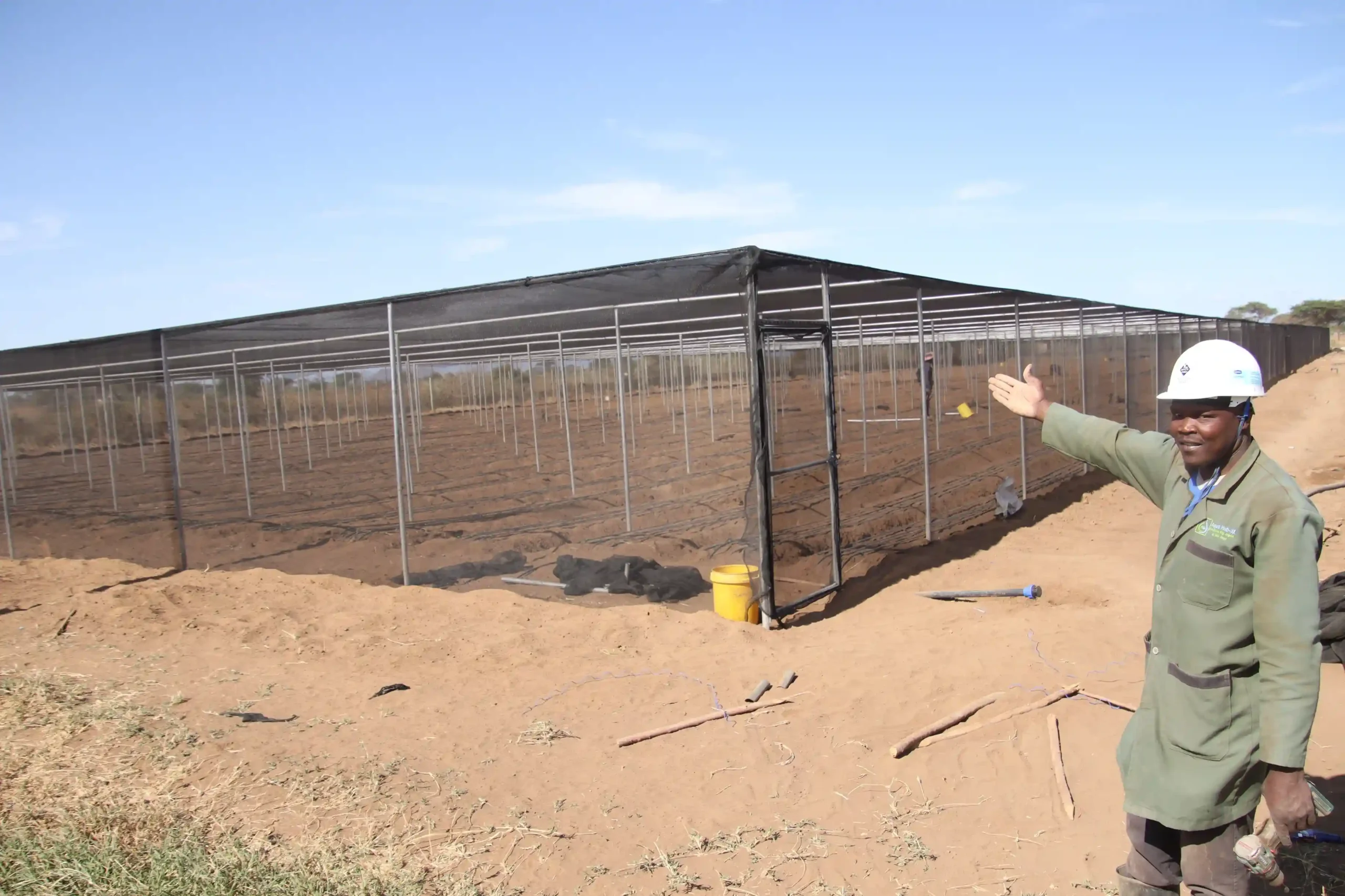 Shade net for chilli farming