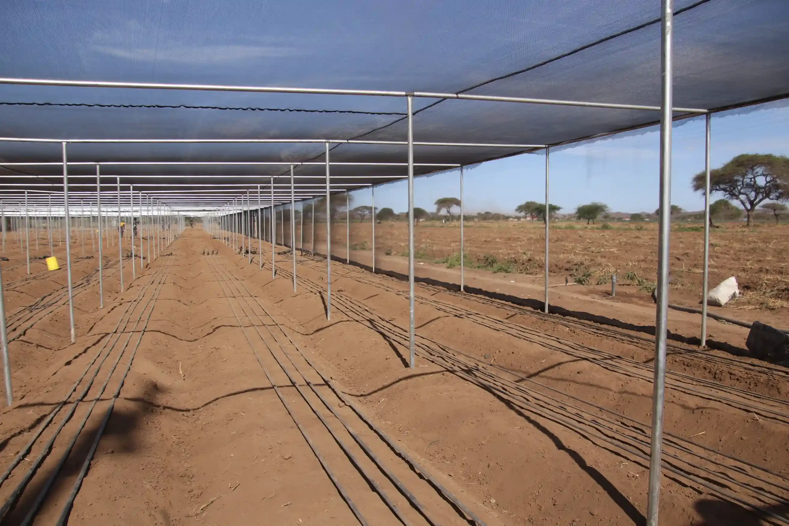 Galvanized poles for shade nets