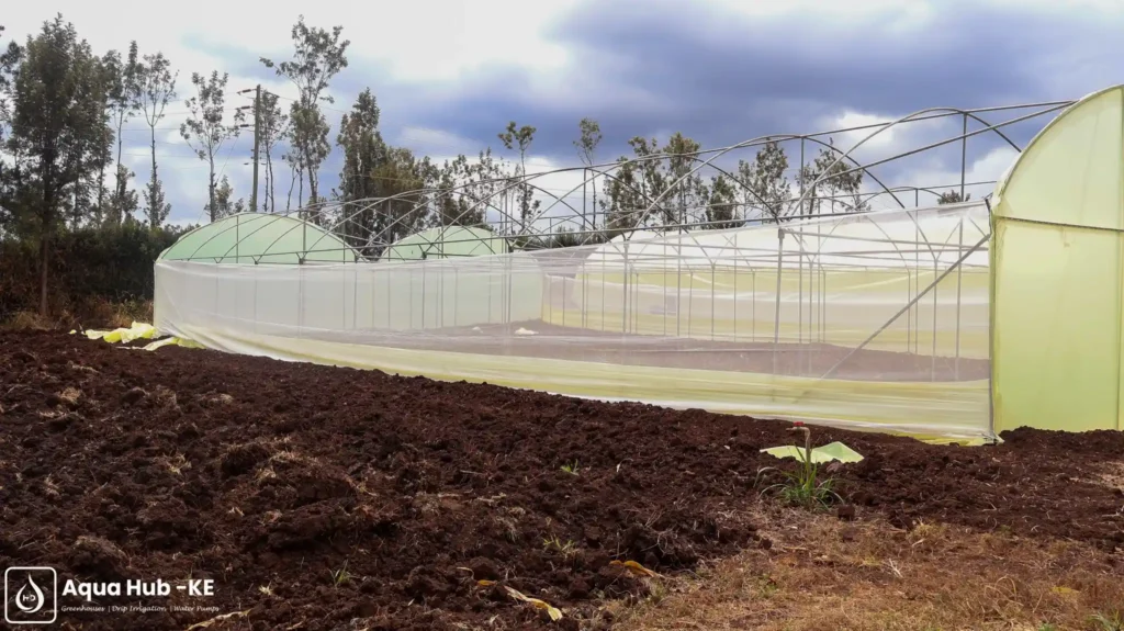 Greenhouse netting in Kenya