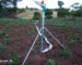 Rain Gun Sprinkler in West Pokot Kenya