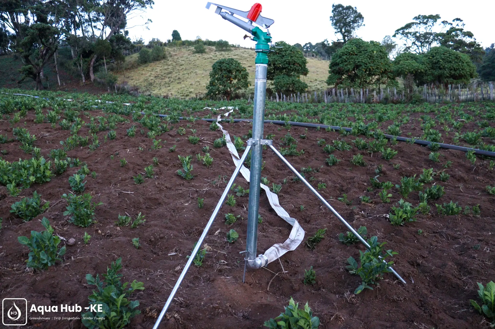 Rain Gun Sprinkler in West Pokot Kenya