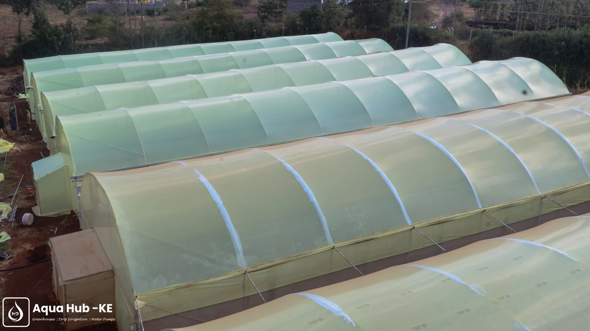 Greenhouse layout on 50 by 100 plot