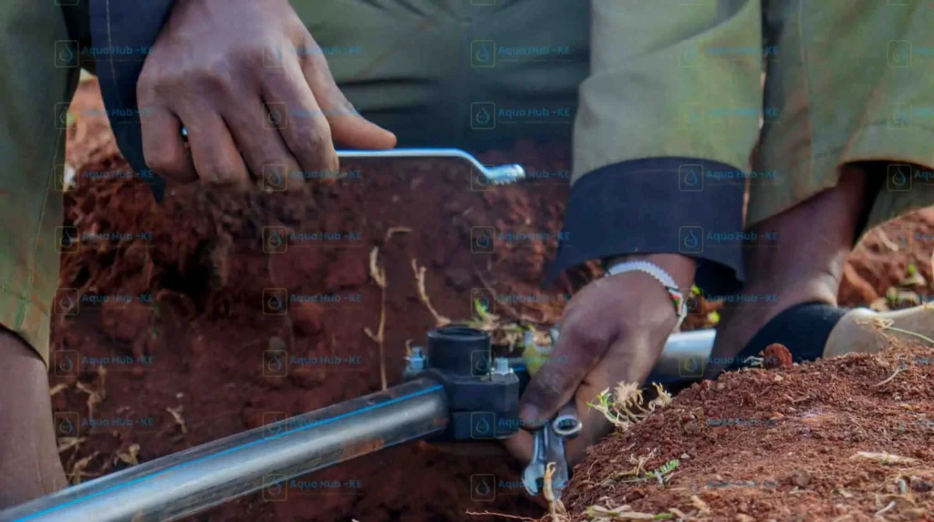 Sprinkler installation by Aqua Hub Kenya