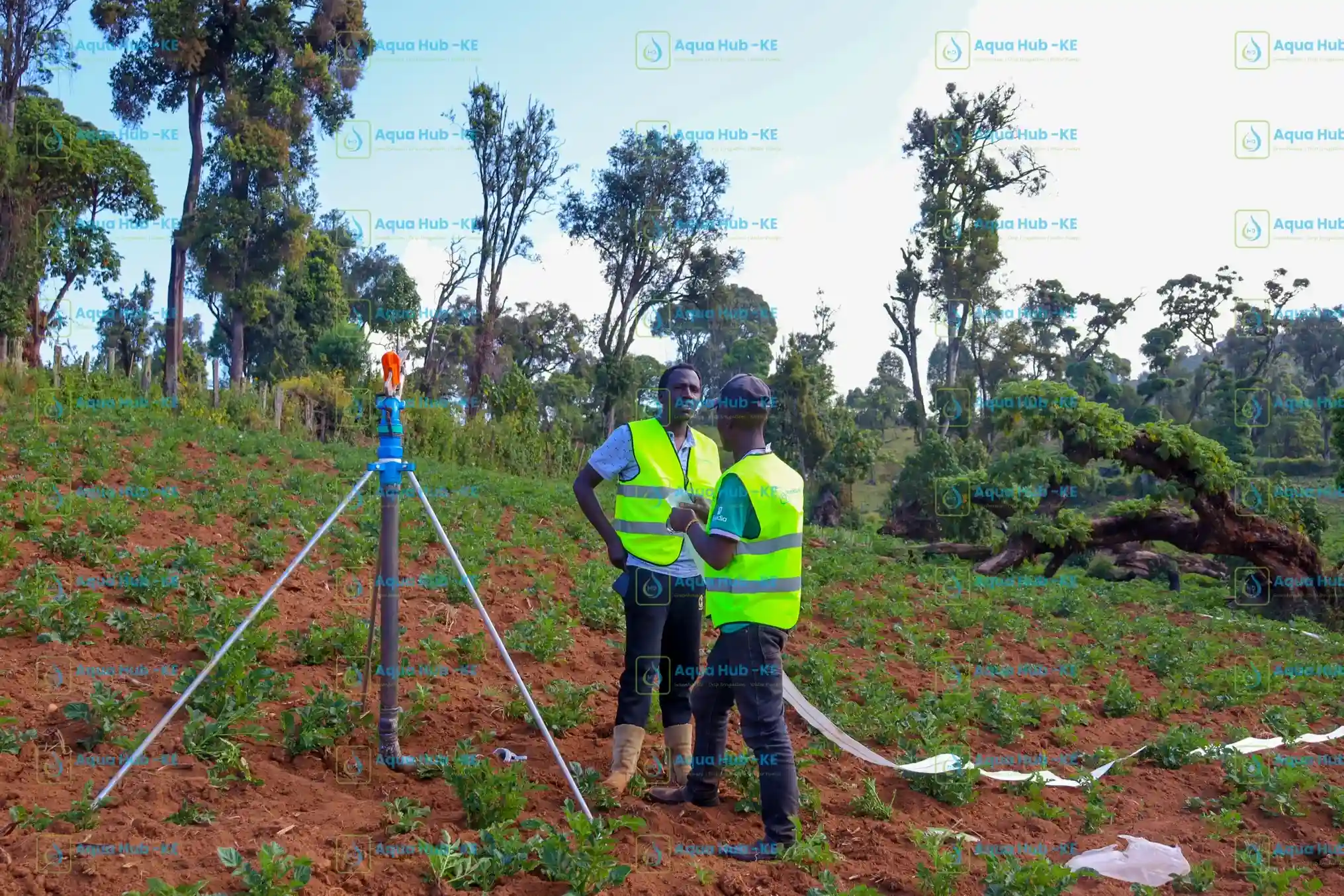 Rain gun sprinkler for irrigation in Kenya