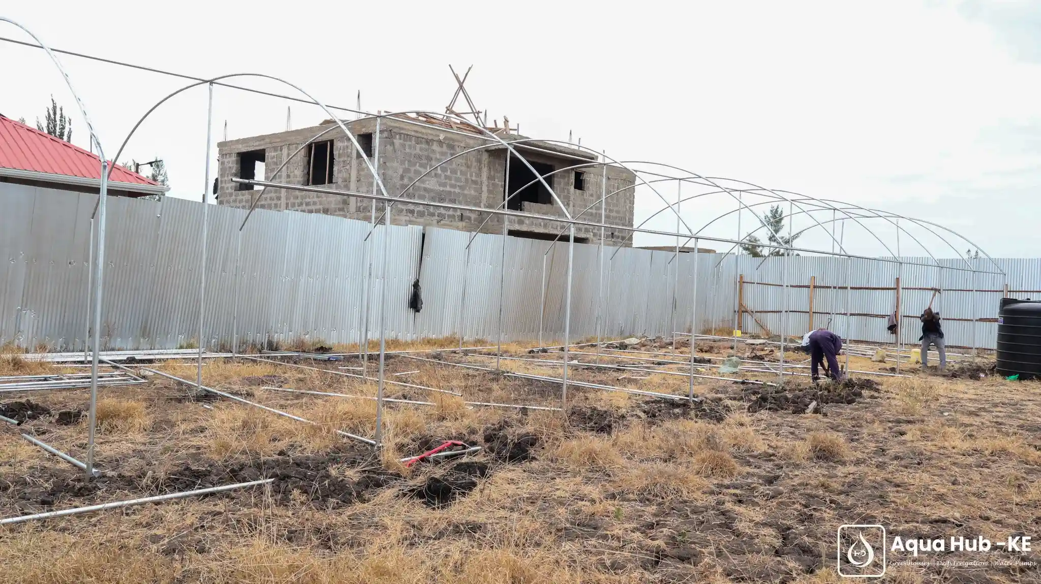Metallic greenhouses in Kenya