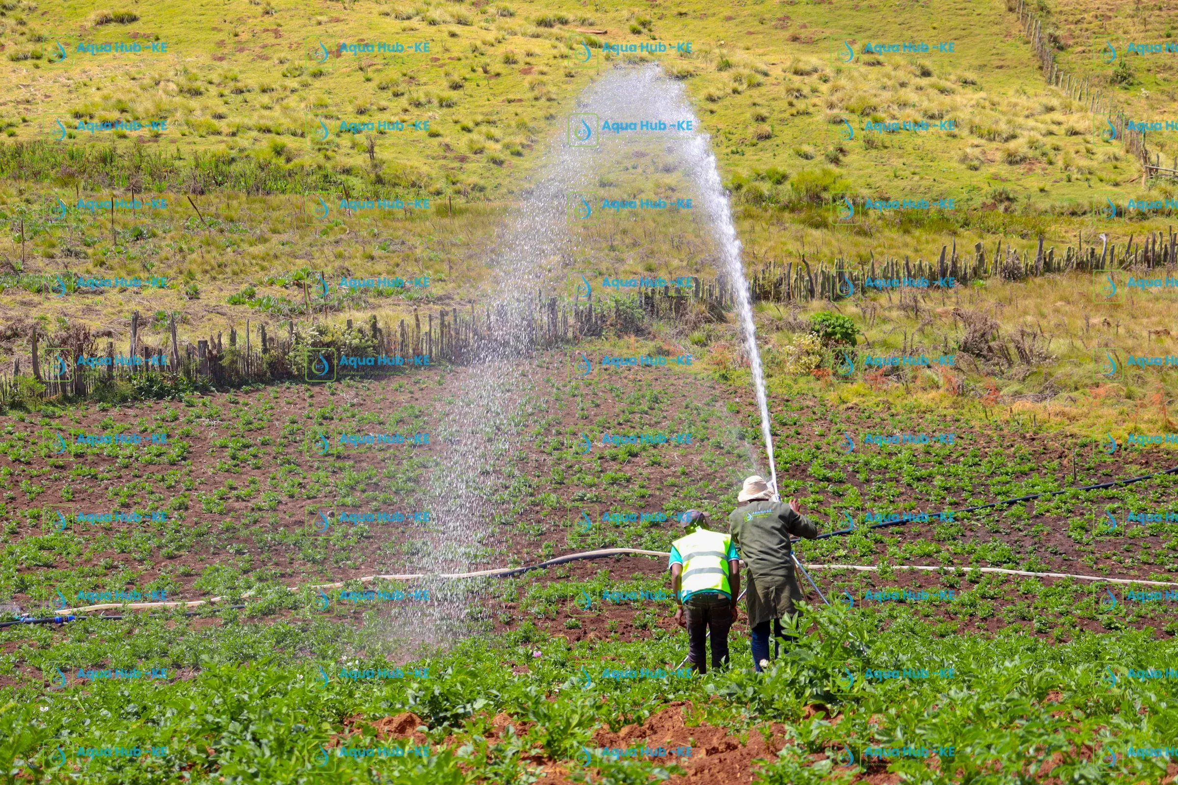 Top quality rain gun sprinkler installation in Kenya