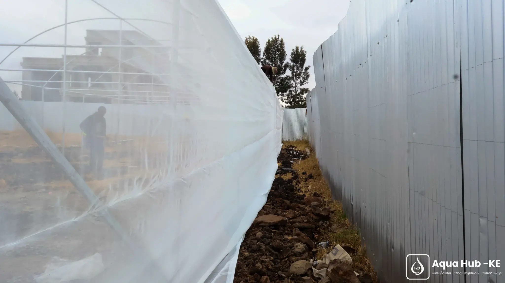 Insect nets for greenhouses in Kenya