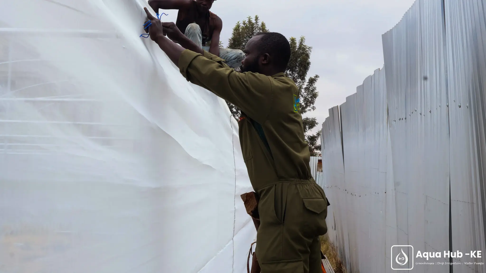 How to properly install an insect net for a greenhouse