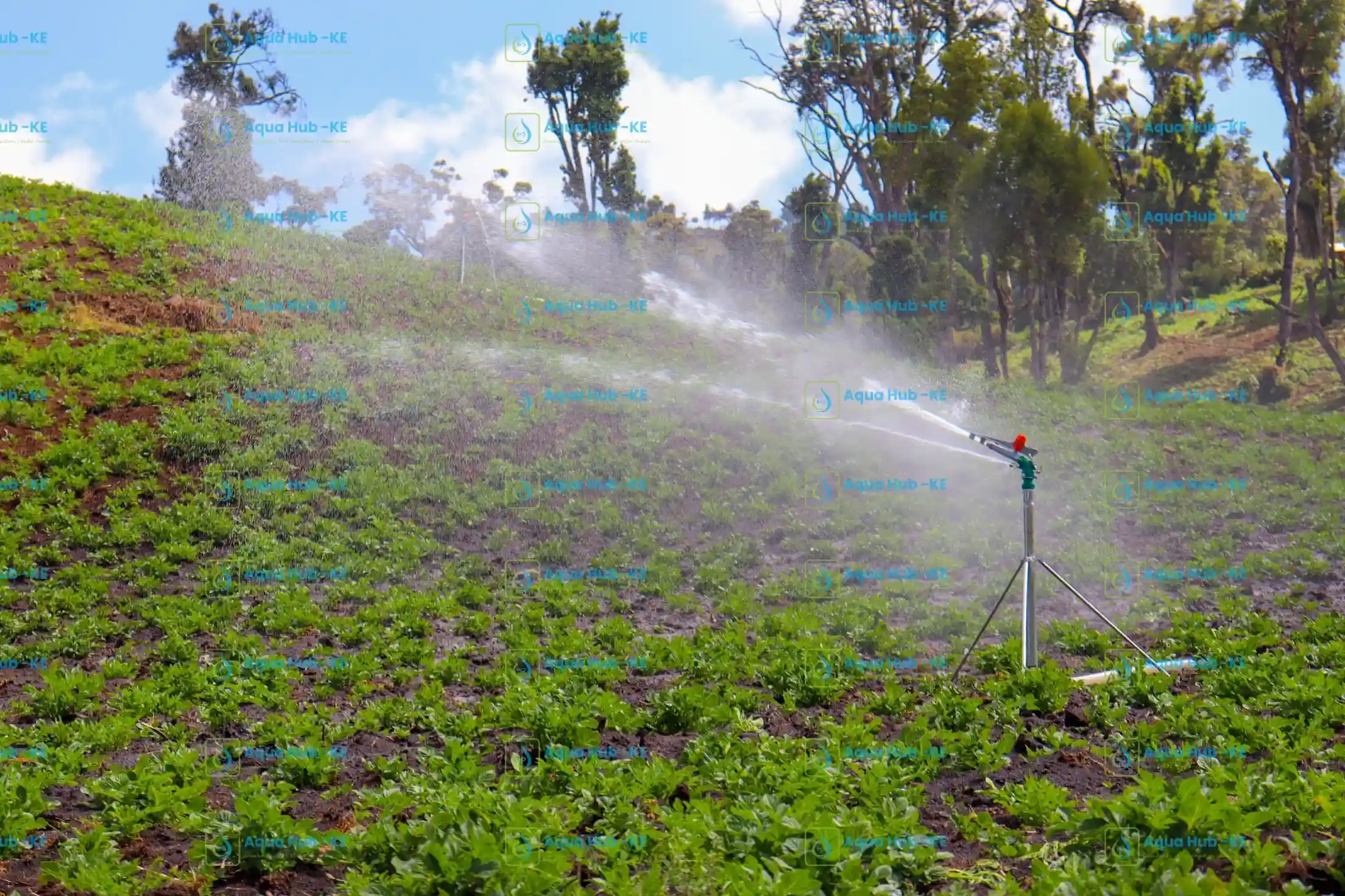 Rain gun sprinkler for irrigation in Narok