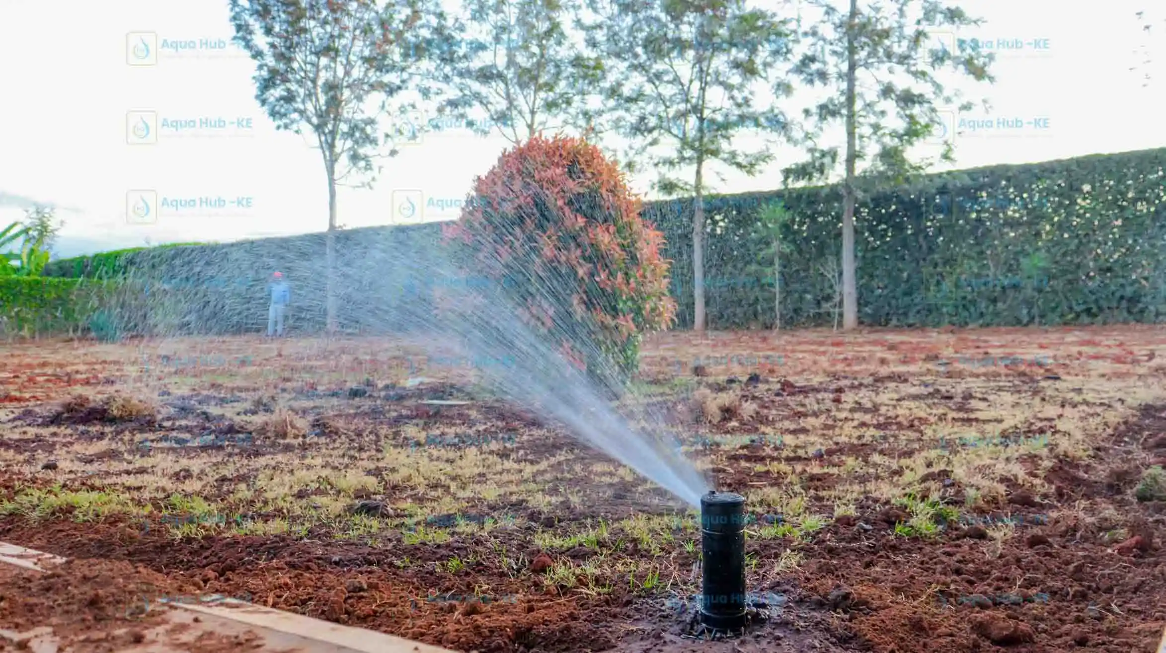 Best Drip Irrigation Equipment Suppliers