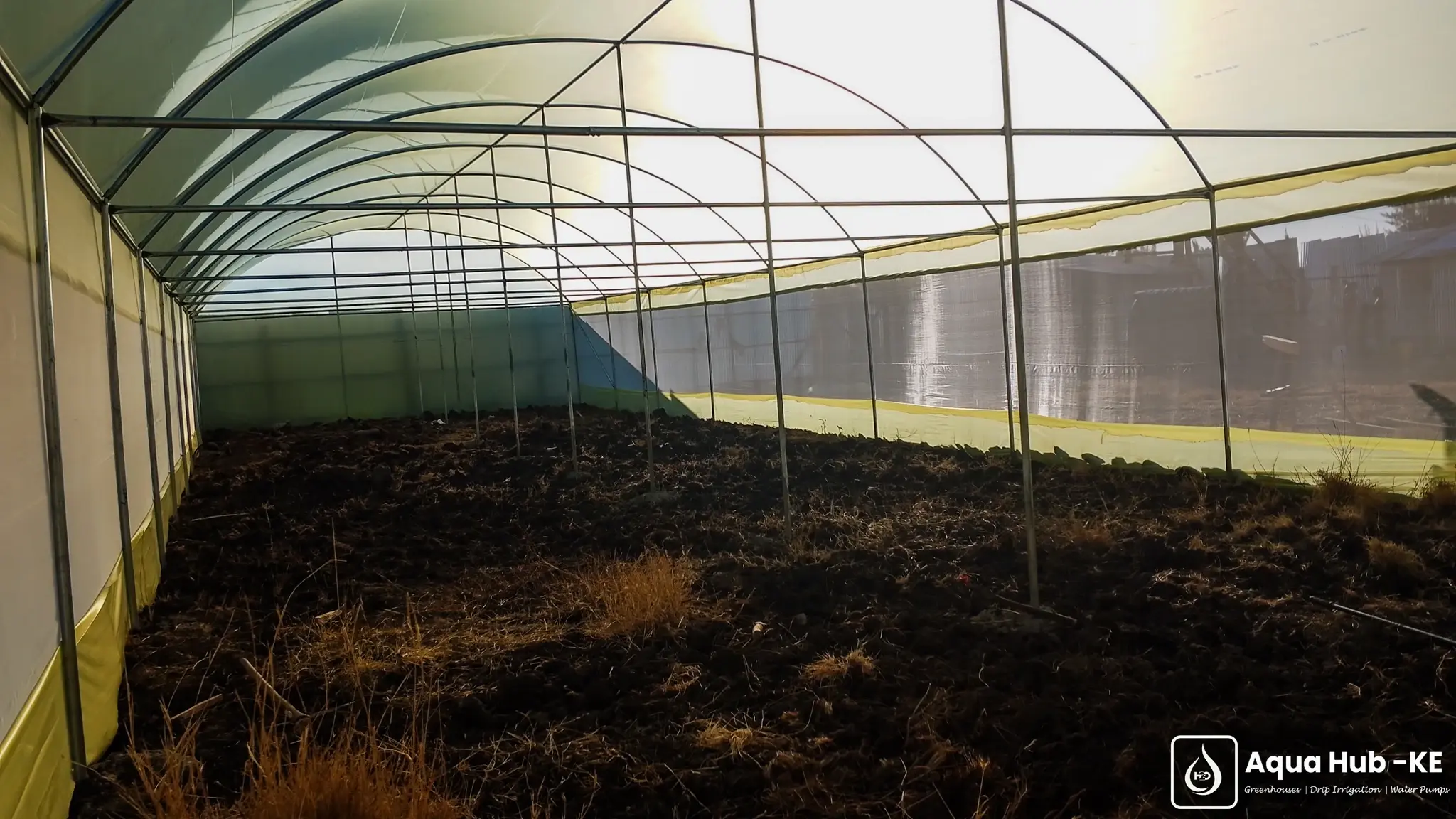 Greenhouse interior in Ruai