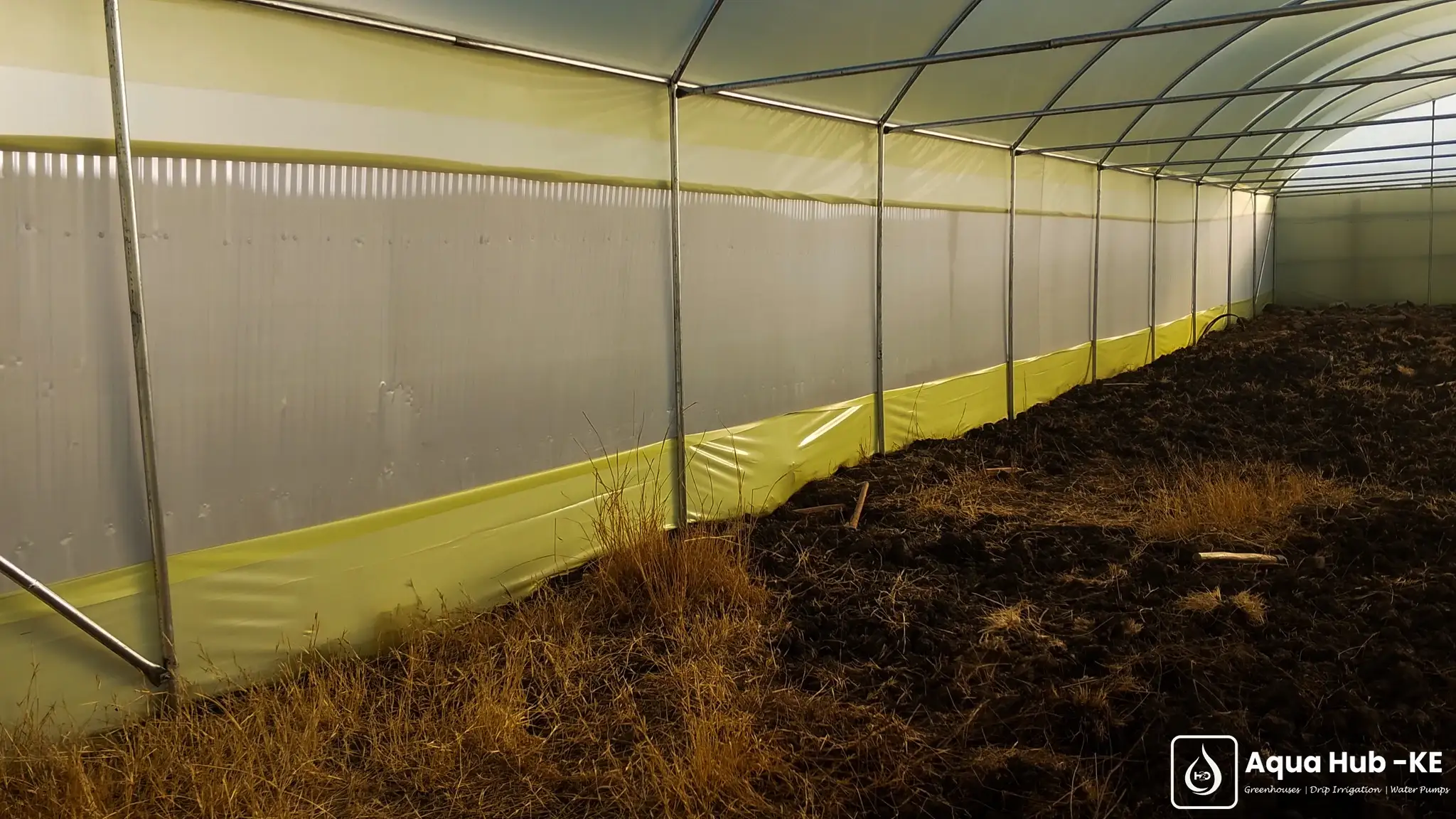 Insect net inside a greenhouse