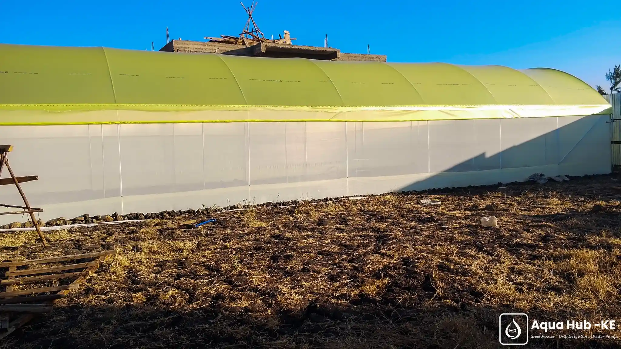 insect net for greenhouses for capsicum farming