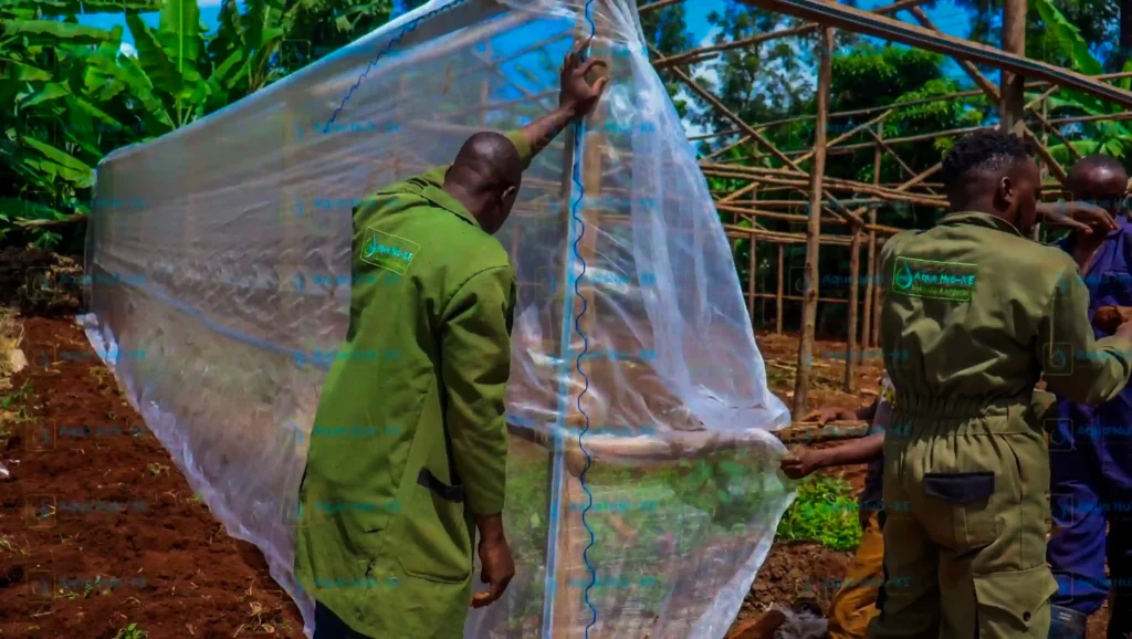Solar dryer installation by Aqua Hub Kenya