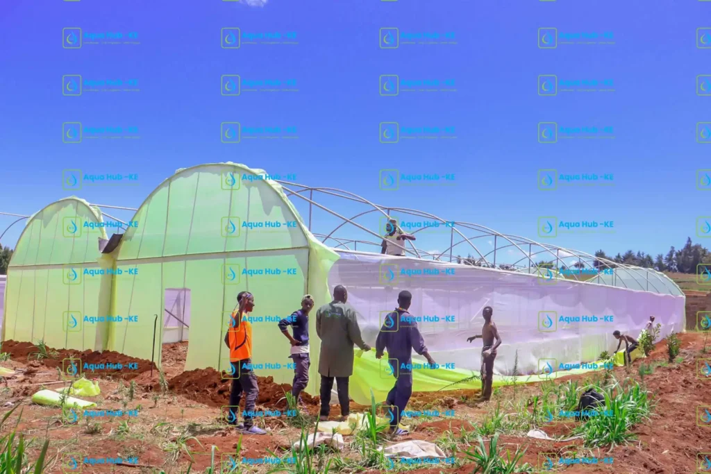 Greenhouse construction in Kenya by Aqua Hub