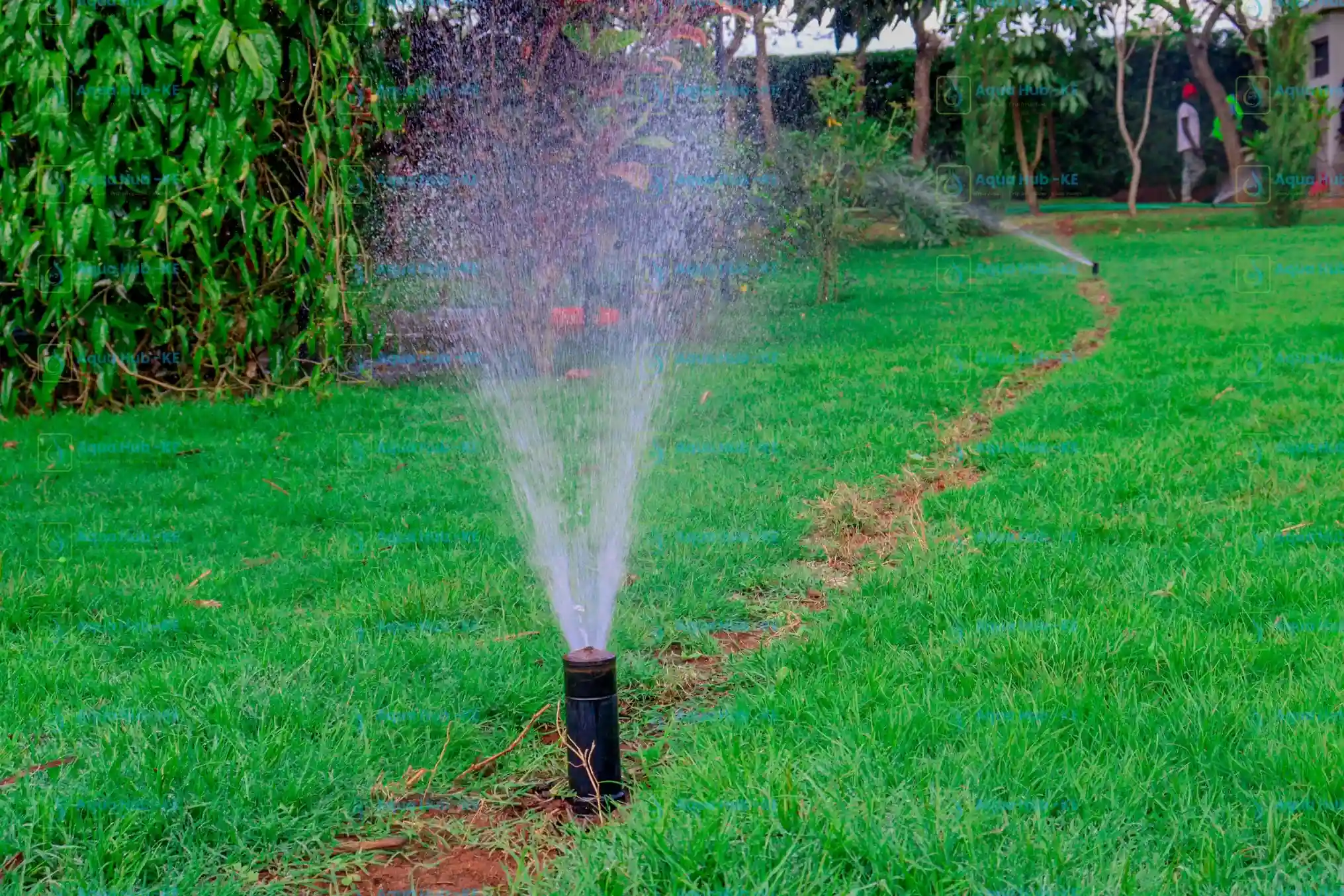 Pop-up sprinkler for lawns and farms
