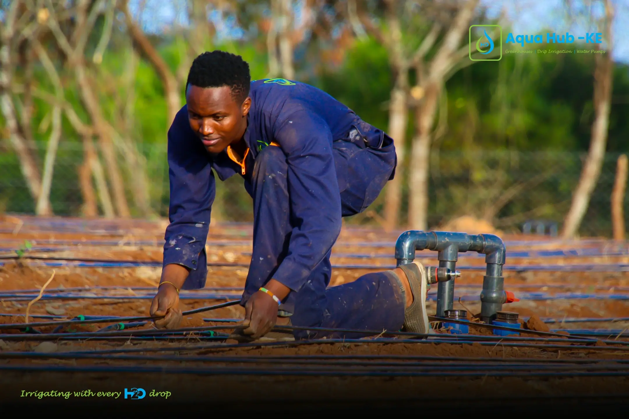 Drip irrigation installation by Aqua Hub Kenya