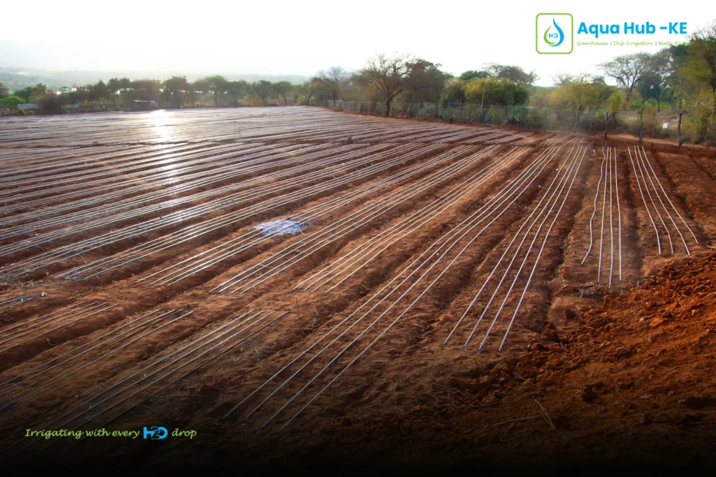 Drip system installation in Kenya by Aqua Hub