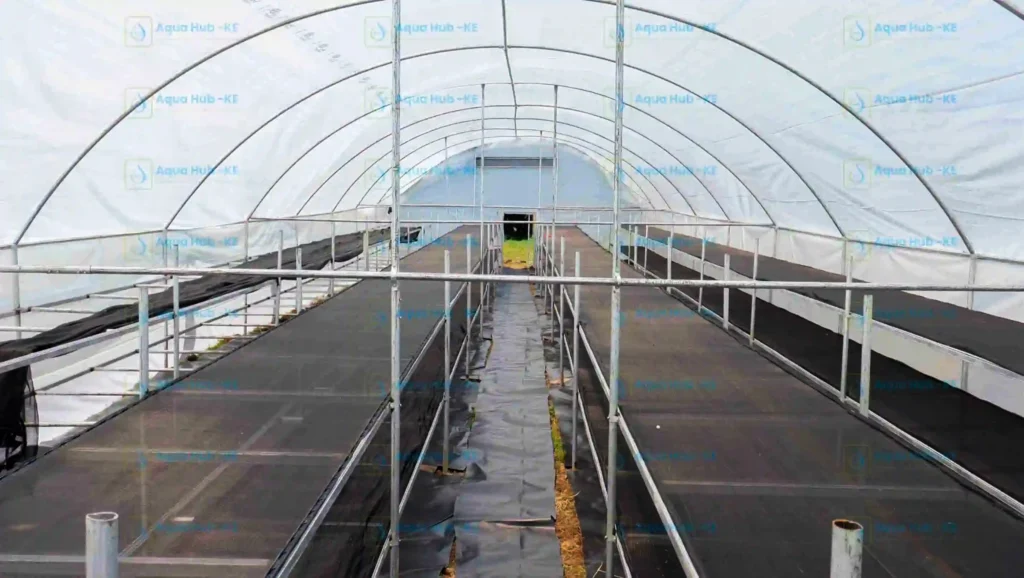 Solar Dryer with shelving in Kenya for yield management