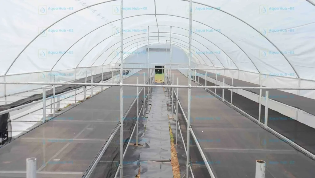 Interior of best coffee dehydrator in Kenya