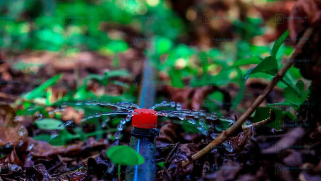 Button emitters installation in Kenya