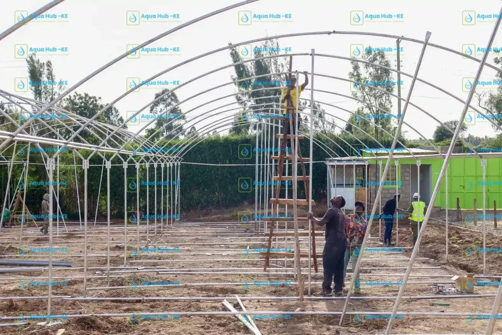 Metallic greenhouse by Aqua Hub Kenya