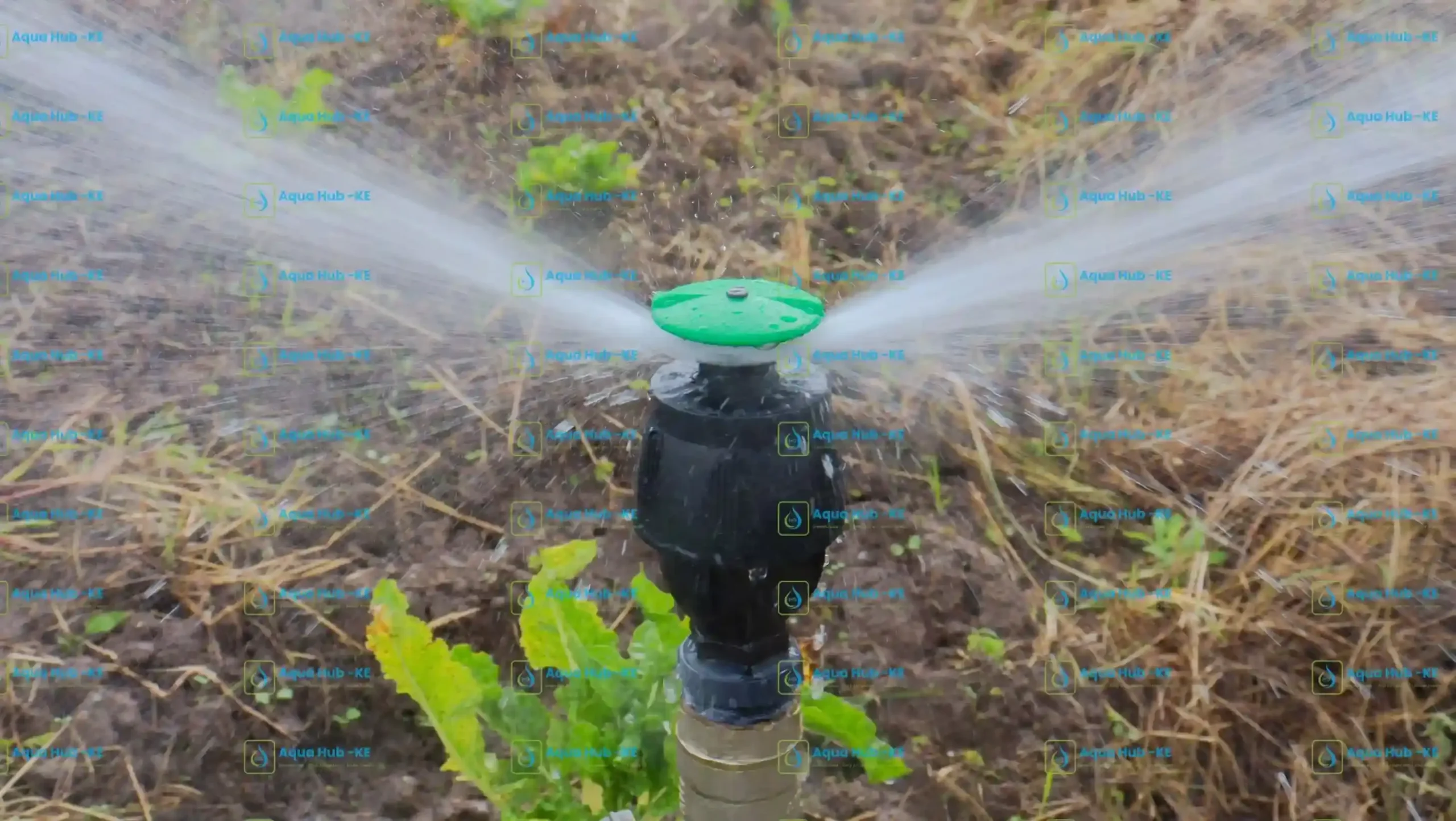 1 Acre sprinkler irrigation system in Kenya