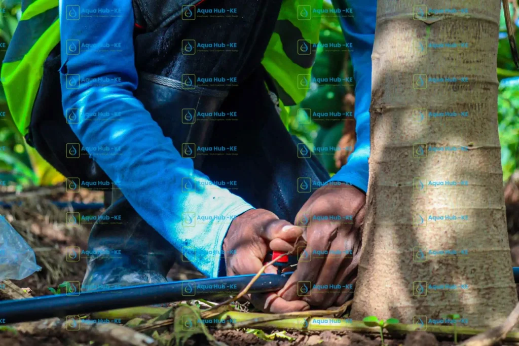Button emitter installation in Kenya