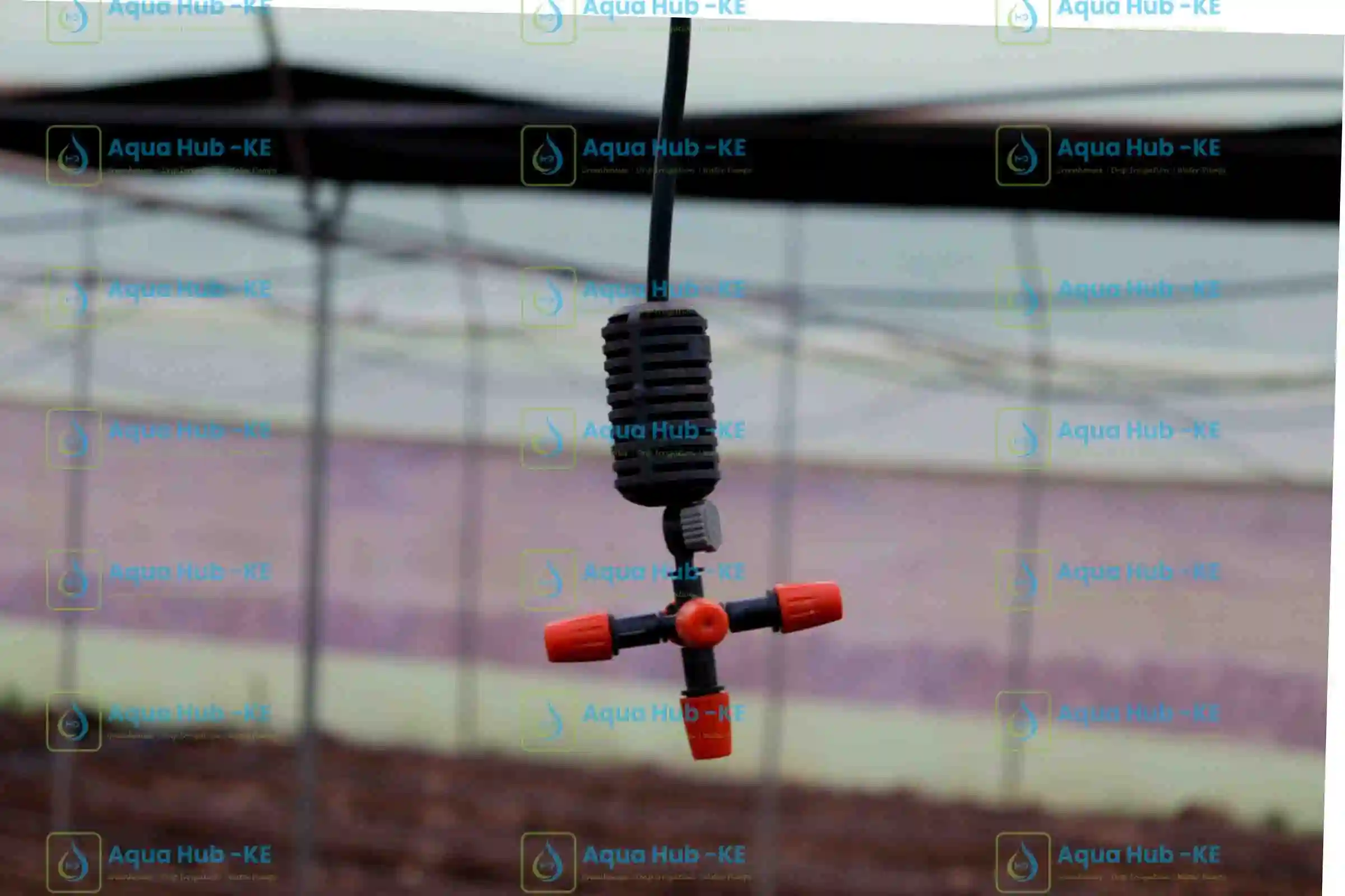 Fogging systems installed in a greenhouse