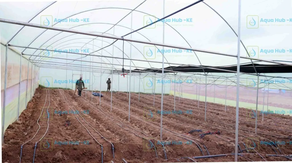 Installation of irrigation systems by Aqua Hub in Kenya