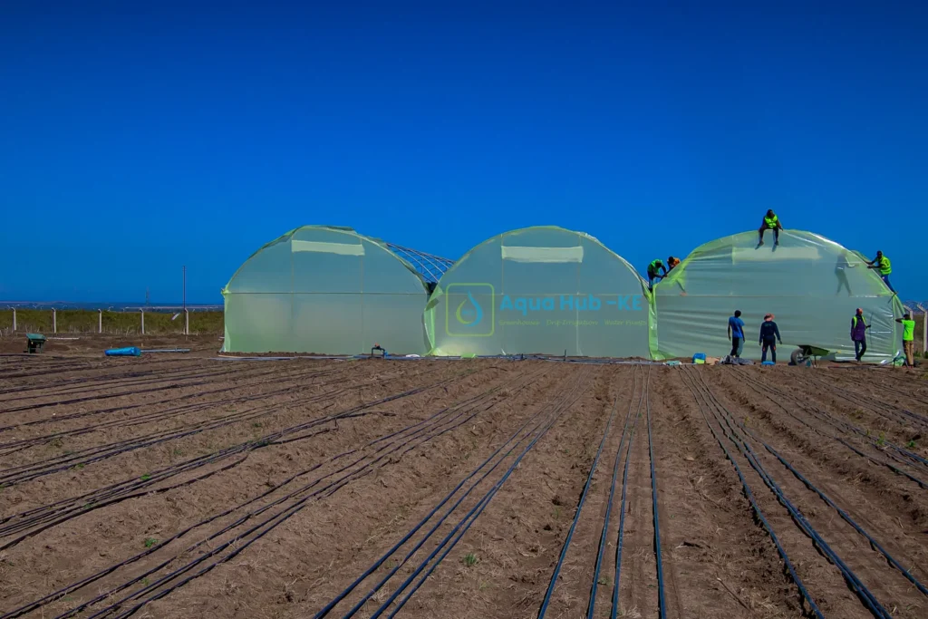 Tunnel greenhouses for sale in Kenya by Aqua Hub