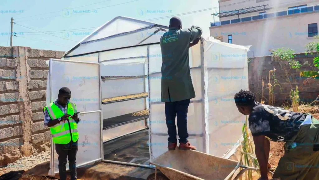 Best Solar Dryers by Aqua Hub Kenya 2026