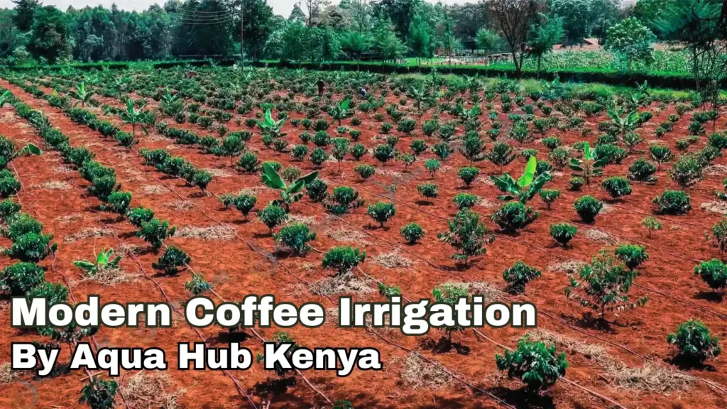 Modern coffee irrigation