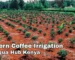 Modern coffee irrigation